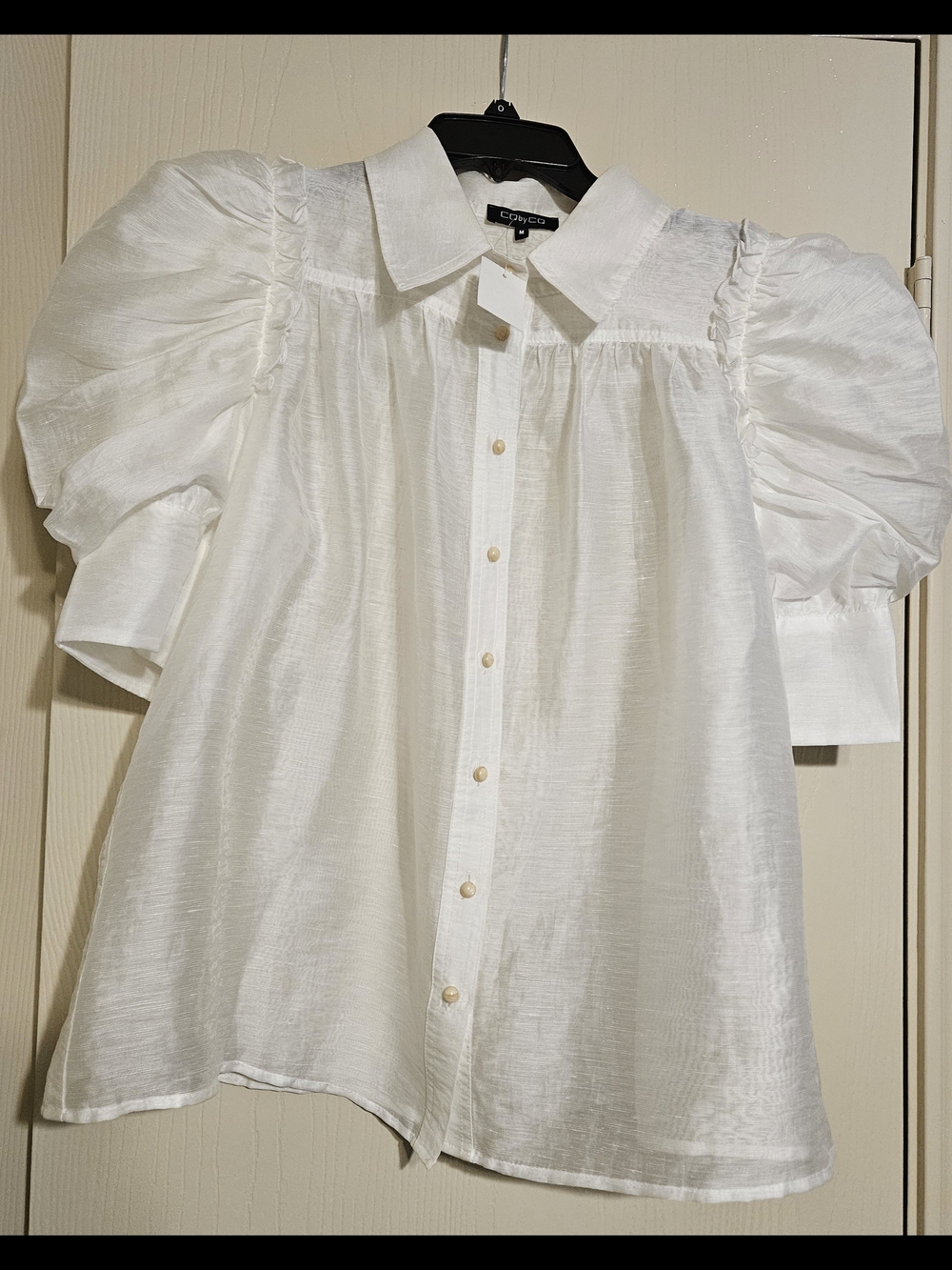 Women White Puff-Sleeve Sheer Button Front Blouse